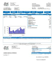 美国德克萨斯州大草原水电费账单模板USA Texas Grand Prairie utility bill template-帮司令