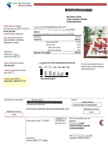 法国燃气 Dolcevita 公用事业账单模板（Word 和 PDF 格式）France Gaz de France Dolcevita utility bill template in Word and PDF format-帮司令