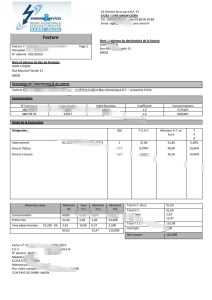 法国能源与服务 Sarre-Union 电力账单模板France Energies & Services Sarre-Union electricity utility bill template-帮司令