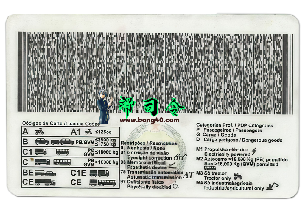 图片[2]-莫桑比克驾驶执照 PSD 模板
