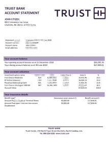 美国 Truist 银行对帐单 Excel 和 PDF 模板USA Truist Bank Statement Excel And PDF Template-帮司令