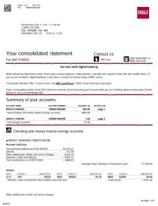 美国华盛顿 BB&T 银行对帐单 Word 和 PDF 模板（共5 页只展示首页）USA Washington BB&T Bank Statement Word And PDF Template (5 pages)-帮司令