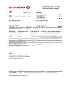 越南 Techcombank Bbank 报表 Excel 和 PDF 模板Vietnam Techcombank Bbank Statement Excel and PDF Template-帮司令