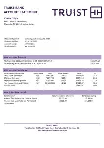 美国 Truist 银行对帐单 Excel 和 PDF 模板USA Truist Bank Statement Excel And PDF Template-帮司令