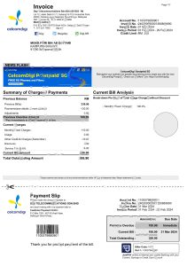 马来西亚 Digi 电信模板（Word 和 PDF 格式）Malaysia Digi Telecommunications Template in Word And PDF Format-帮司令