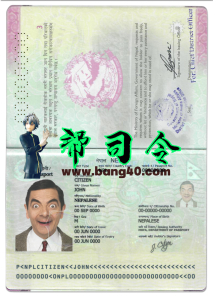 尼泊尔完全可编辑护照 PSD 模板Nepal Fully editable Passport PSD Template-帮司令