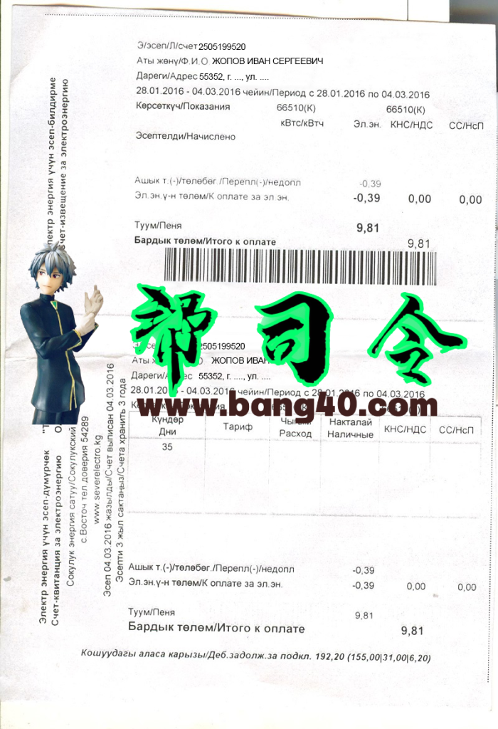 吉尔吉斯斯坦水电费账单 PSD 模板