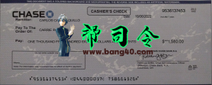 大通银行空白支票 PSD 模板Chase Bank Blank Check PSD Template-帮司令