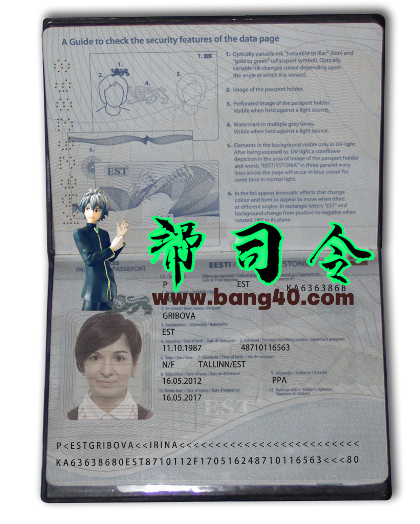 爱沙尼亚护照模板（含背景，psd 格式）