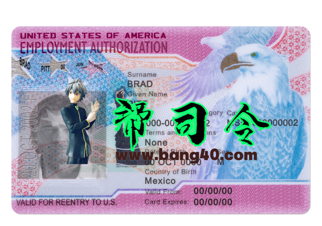 美国就业身份证 PSD 模板
