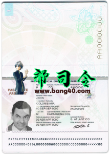 哥斯达黎加护照 PSD 模板Costa Rica  passport PSD template-帮司令