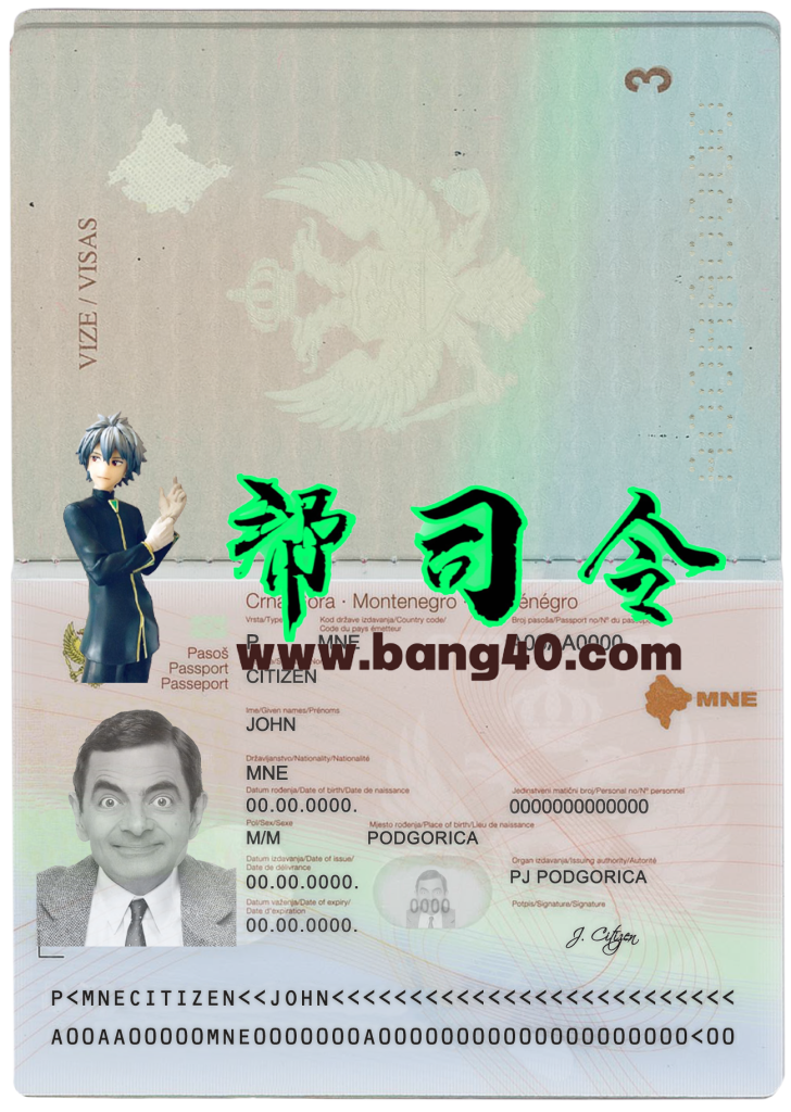 黑山护照 PSD 模板