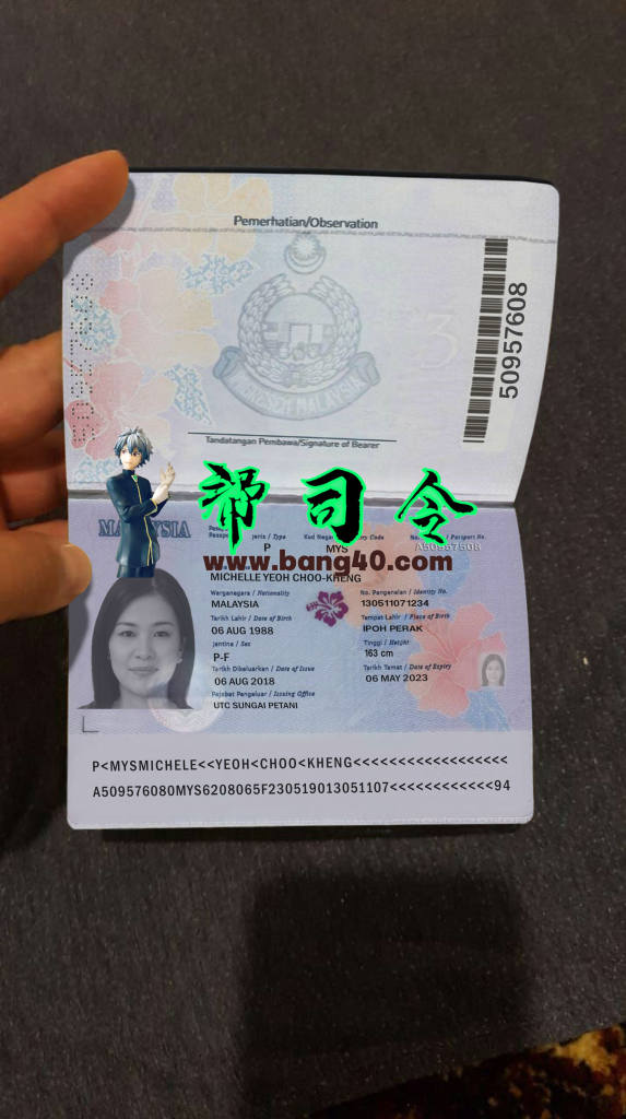 马来西亚护照背景 PSD 模板