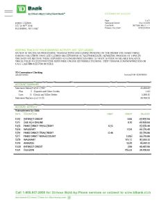 美国道明银行对帐单模板USA TD Bank Statement Template-帮司令