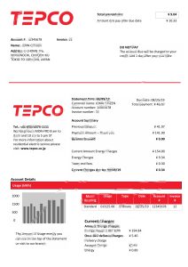 日本东京电力公司电力帐单 Word 和 PDF 模板Japan Tokyo Electric Power Company Rlectricity Utility Bill Word And PDF Template-帮司令