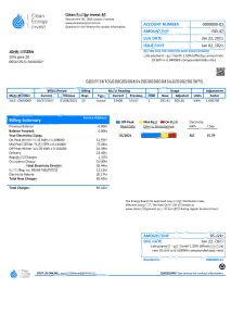 挪威清洁能源投资作为公用事业账单 Word 和 PDF 模板Norway Clean Energy Invest AS Utility Bill Word And PDF Template-帮司令