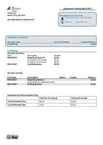美国第一国际银行信托银行对账单Word和PDF模板USA First International Bank Trust Bank Statement Word And PDF Template-帮司令
