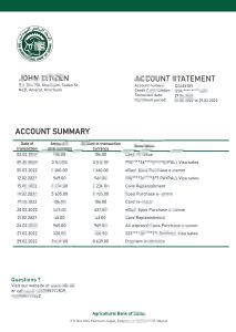 苏丹苏丹农业银行银行对账单模板Sudan Agricultural Bank Of Sudan Bank Statement Template-帮司令