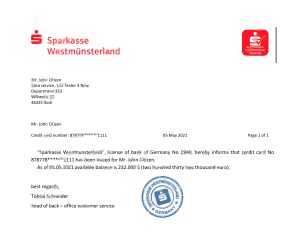 德国Sparkasse银行推荐信模板Germany Sparkasse Bank Reference Letter Template-帮司令