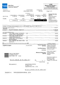 美国纽约美国运通蓝色银行对账单模板USA New York American Express Blue Bank Statement Template-帮司令