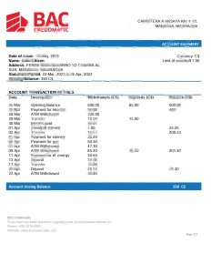 尼加拉瓜 BAC Credomatic 银行对账单模板Nicaragua BAC Credomatic Bank Statement Template-帮司令