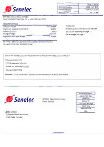 塞内加尔Senelec Agence Sacré Coeur公司电力公用事业账单Word和PDF模板Senegal Senelec Agence Sacré Coeur Company Electricity Utility Bill Word And PDF Template-帮司令