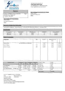 法国能源与服务公司萨尔联盟电力账单模板France Energies & Services Sarre-Union electricity utility bill template-帮司令