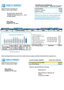 美国德克萨斯州社区电力公司电费账单模板USA Texas Power of Community electricity utility bill Template-帮司令