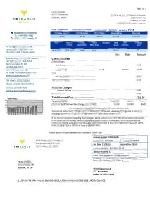 美国德克萨斯州 TriEagle 公用事业账单模板USA Texas TriEagle utility bill template-帮司令