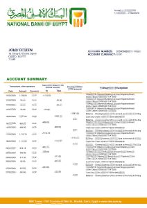 埃及埃及国家银行银行对账单简易填写模板Egypt National Bank of Egypt bank statement easy to fill template-帮司令