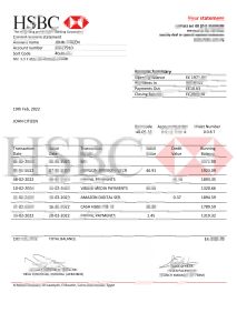 埃及汇丰银行地址证明银行对账单模板Egypt HSBC Bank proof of address bank statement template-帮司令