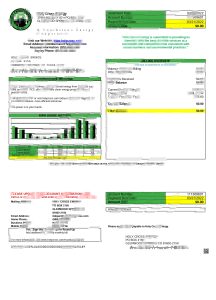 美国科罗拉多州圣十字能源公用事业账单模板（Word 和 PDF 格式）USA Colorado Holy Cross Energy Utility Bill Template In Word And PDF Format-帮司令