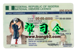 尼日利亚驾驶执照模板为 PSD 格式，完全可编辑Nigeria driving license template in PSD format, fully editable-帮司令
