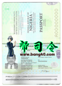 尼日利亚护照 PSD 模板版本2Nigeria passport PSD template version2-帮司令
