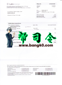 Lativa Latvenergo 公用事业账单 psd 模板Lativa Latvenergo utility bill psd template-帮司令