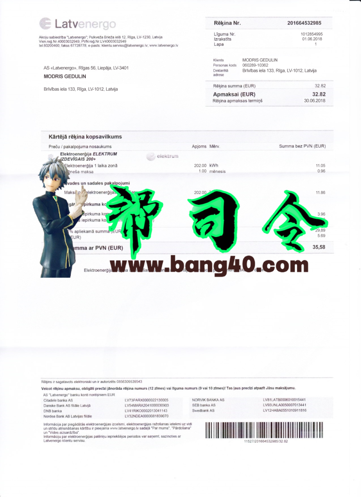 Lativa Latvenergo 公用事业账单 psd 模板