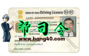 印度驾驶执照 PSD 模板（含字体）India driving license PSD template with fonts-帮司令