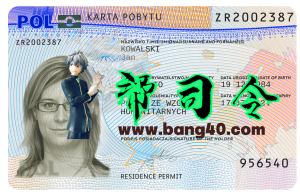 PSD 格式的波兰居留许可模板Poland residence permit template in PSD format-帮司令