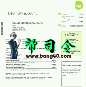 澳大利亚 Tru 电费账单模板，PSD 格式，完全可编辑Australia Tru electricity utility bill template, fully editable in PSD format-帮司令