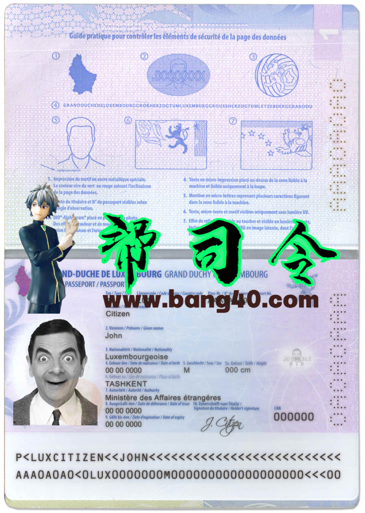 卢森堡护照 psd 模板