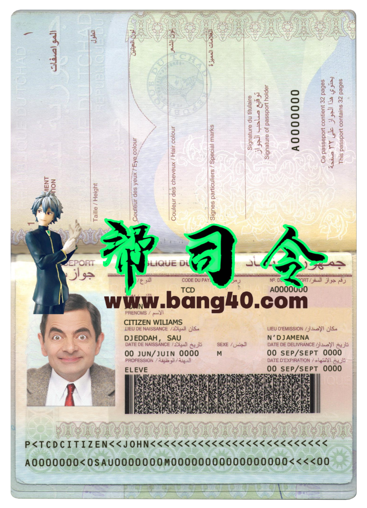 乍得共和国护照 PSD 模板