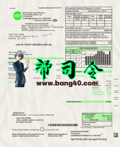 西北农村电力账单 PSD 模板Northwestern Rural Electric utility bill PSD Template-帮司令