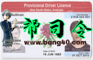 澳大利亚新南威尔士州驾驶执照 PSD模板Australia New South WalesDriving License PSD Template-帮司令