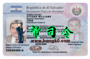 萨尔瓦多身份证 psd 模板El Salvador ID Card psd template-帮司令