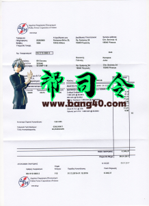 希腊公共电力公司水电费账单 PSD模板Greece Public Power CorporationUtility Bill PSD Template-帮司令