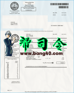 佛罗里达州水费账单模板（PSD 格式）Florida Water Bill Template in psd format-帮司令