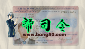 捷克国民身份证 Psd 模板Czech national identity card Psd Template-帮司令