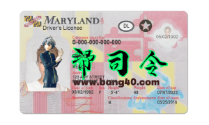 PSD 格式的马里兰州驾驶执照模板V2Maryland Driver LicenseTemplate In PSD Format V2-帮司令