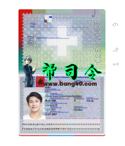 瑞士护照 PSD 模板Switzerland Passport PSD Template-帮司令