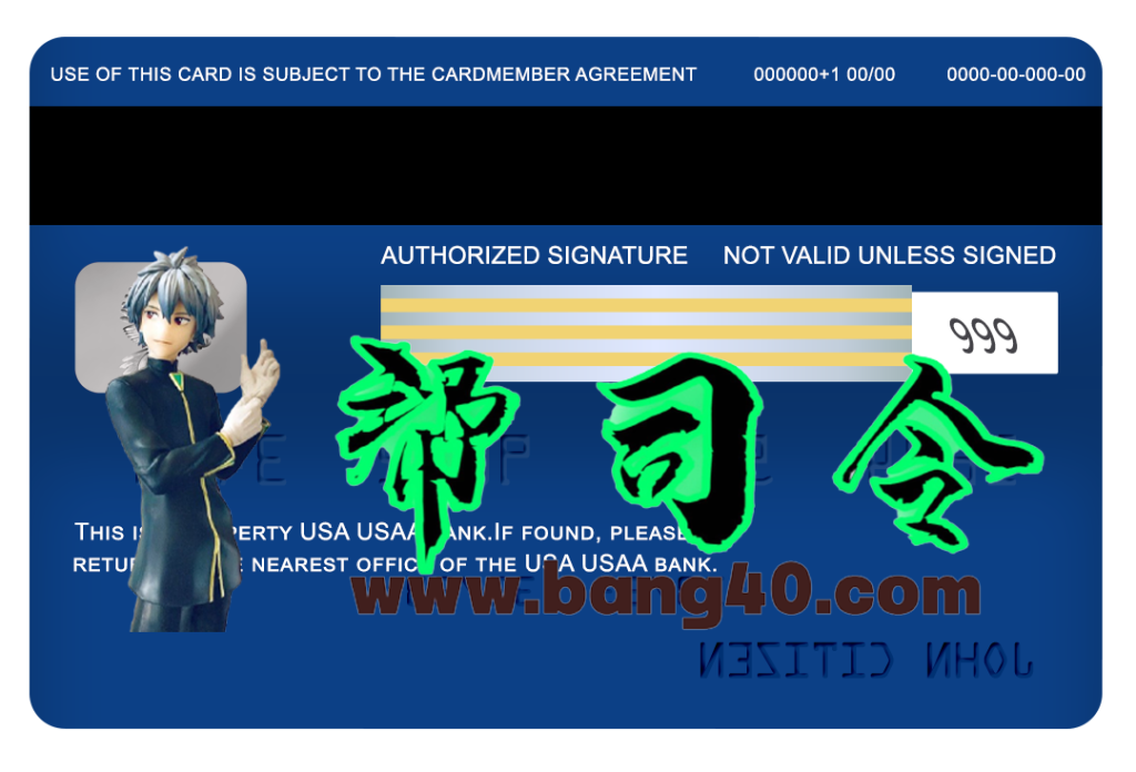 图片[2]-美国 USAA 银行 Visa 签名卡 PSD模板